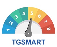 Risk Level Meter 11